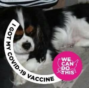 Meet your Posher, Connie